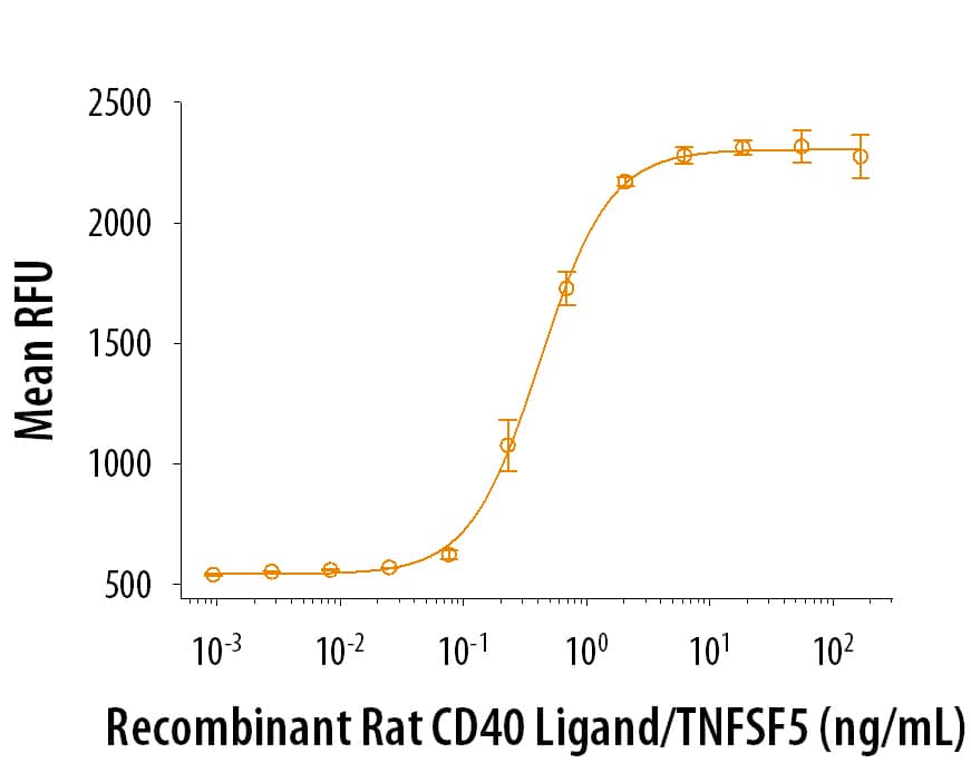   Recombinant Rat CD40 Ligand (Catalog# 8414-CL/CF) induces cell proliferation by mouse splenic B cells in the presence of IL-4.  The ED50 for this effect is 0.15-0.9 ng/mL in the presence of 0.1 μg/mL of the cross-linking antibody, Mouse Anti-Hemagglutinin/HA Peptide Monoclonal Antibody     (Catalog #  MAB060). 