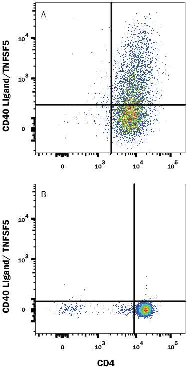 Mouse splenocytes either (A) stimulated to induce Th1 cells or (B) unstimulated were stained with Rat Anti-Mouse CD40 Ligand/TNFSF5 PE-conjugated Monoclonal Antibody (Catalog # FAB1163P) and Rat Anti-Mouse CD4 APC-conjugated Monoclonal Antibody (Catalog # FAB554A). Quadrant markers were set based on control antibody staining (Catalog # IC006P). View our protocol for Staining Membrane-associated Proteins.