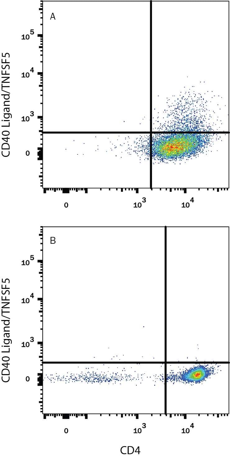 Mouse splenocytes either (A) stimulated to induce Th1 cells or (B) unstimulated were stained with Rat Anti-Mouse CD40 Ligand/TNFSF5 Alexa Fluor® 594-conjugated Monoclonal Antibody (Catalog # FAB1163T) and Rat Anti-Mouse CD4 APC-conjugated Monoclonal Antibody (Catalog # FAB554A). Quadrant markers were set based on control antibody staining (Catalog # IC006T). View our protocol for Staining Membrane-associated Proteins.