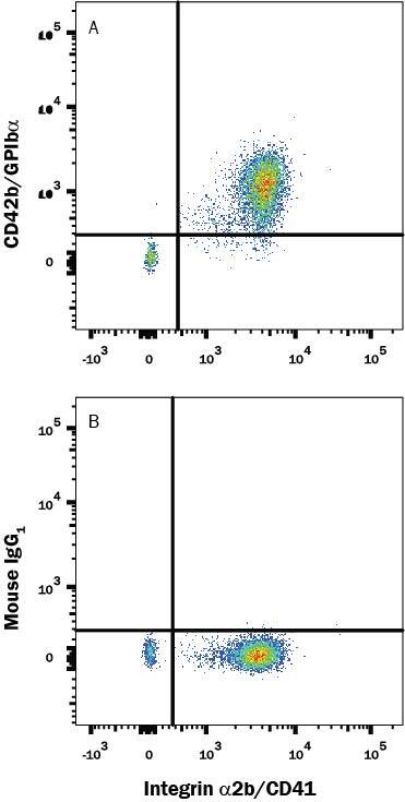 Human platelets were stained with Mouse Anti-Human Integrin alpha 2b/CD41 APC-conjugated Monoclonal Antibody (Catalog # FAB7616A) and either (A) Mouse Anti-Human CD42b/GPIb alpha Alexa Fluor® 594-conjugated Monoclonal Antibody (Catalog # FAB4067T) or (B) Mouse IgG1 Alexa Fluor® 594 Isotype Control (Catalog # IC002T). View our protocol for Staining Membrane-associated Proteins.