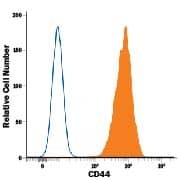 Human peripheral blood mononuclear cell (PBMCs) were stained with Rat Anti-Human/Mouse CD44 Alexa Fluor® 488-conjugated Monoclonal Antibody (Catalog # FAB6127G, filled histogram) or isotype control antibody (Catalog # IC013G, open histogram). View our protocol for Staining Membrane-associated Proteins.