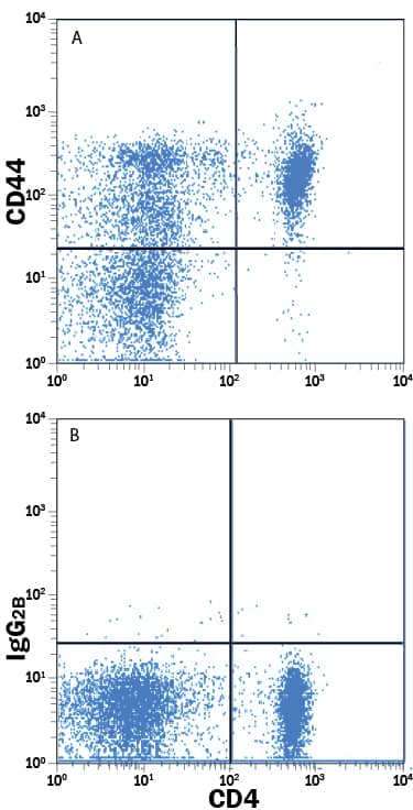 Rat splenocytes were stained with Mouse Anti-Rat CD4 APC-conjugated Monoclonal Antibody and either (A) Mouse Anti-Rat CD44 Alexa Fluor® 488-conjugated Monoclonal Antibody (Catalog # FAB6577G) or (B) Mouse IgG2BAlexa Fluor 488 Isotype Control (Catalog # IC0041G). View our protocol for Staining Membrane-associated Proteins.