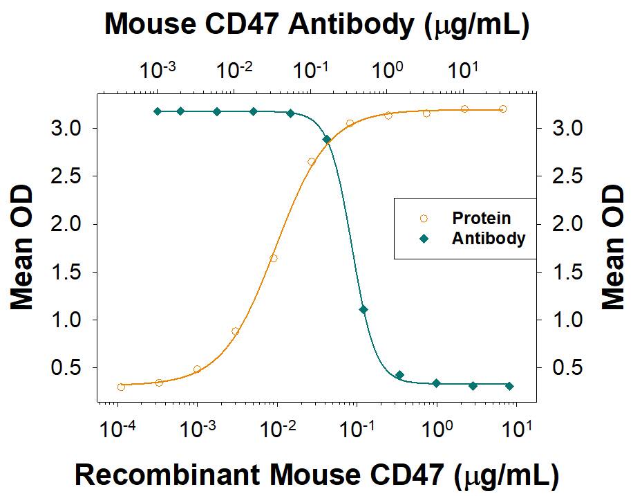 In a functional ELISA, 0.08-0.8 µg/mL of this antibody (green line) will block 50% of the binding of  0.25 µg/mL of Recombinant Mouse CD47 Fc Chimera (orange line, Catalog # 1866-CD) to immobilized Recombinant Mouse SIRP alpha /CD172a Fc Chimera (Catalog # 7154-SA) coated at 1 µg/mL (100 µL/well). At 5 µg/mL, this antibody will block >90% of the binding.