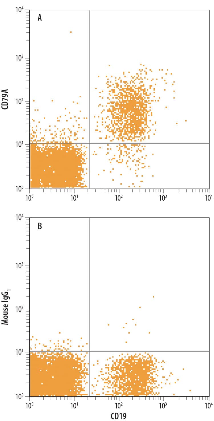 Human peripheral blood lymphocytes were stained with Mouse Anti-Human CD19 APC-conjugated Monoclonal Antibody (Catalog # FAB4867A) and either (A) Mouse Anti-Human CD79A Alexa Fluor® 488-conjugated Monoclonal Antibody (Catalog # FAB69201G) or (B) Mouse IgG1Alexa Fluor 488 Isotype Control (Catalog # IC002G). View our protocol for Staining Membrane-associated Proteins.