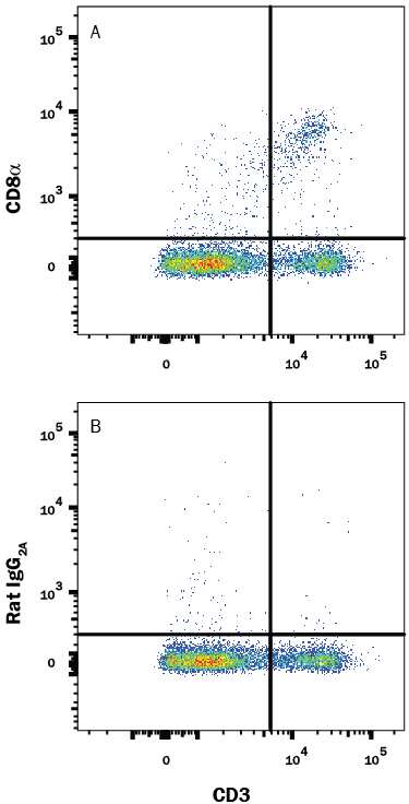 Mouse splenocytes were stained with Rat Anti-Mouse CD3 PE-conjugated Monoclonal Antibody (Catalog # FAB4841P) and either (A) Rat Anti-Mouse CD8a APC-conjugated Monoclonal Antibody (Catalog # FAB116A) or (B) Rat IgG2AAllophycocyanin Isotype Control (Catalog # IC006A). View our protocol for Staining Membrane-associated Proteins.