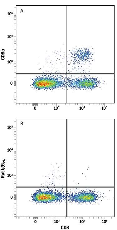 Mouse splenocytes were stained with Rat Anti-Mouse CD3 PE-conjugated Monoclonal Antibody (Catalog # FAB4841P) and either (A) Rat Anti-Mouse CD8a Alexa Fluor® 750-conjugated Monoclonal Antibody (Catalog # FAB116S) or (B) Rat IgG2AAlexa Fluor 750 Isotype Control (Catalog # IC006S). View our protocol for Staining Membrane-associated Proteins.