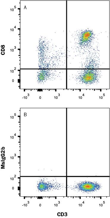 Human peripheral blood lymphocytes were stained with (A) Mouse Anti-Human CD8a Alexa Fluor® 488-conjugated Monoclonal Antibody (Catalog # FAB1509G) or (B) Mouse IgG2B isotype control antibody (Catalog # IC003G) and Mouse Anti-Human CD3e APC-conjugated Monoclonal Antibody (Catalog # FAB100A). View our protocol for Staining Membrane-associated Proteins.