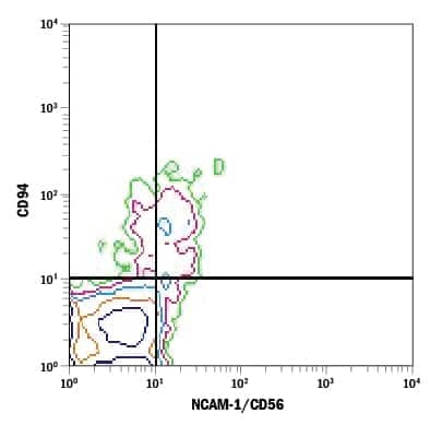 Human peripheral blood mononuclear cells (PBMCs) were stained with Mouse Anti-Human CD94 PE-conjugated Monoclonal Antibody (Catalog # FAB1058P) and Mouse Anti-Human NCAM-1/CD56 APC-conjugated Monoclonal Antibody (Catalog # FAB2408A). Quadrant markers were set based on control antibody staining (Catalog # IC002P). View our protocol for Staining Membrane-associated Proteins.