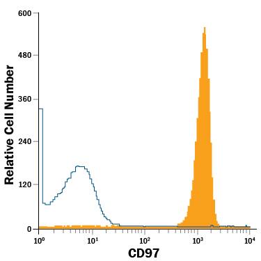 Human neutrophils were stained with Mouse Anti-Human CD97 APC-conjugated Monoclonal Antibody (Catalog # FAB2529A, filled histogram) or isotype control antibody (Catalog # IC003A, open histogram). View our protocol for Staining Membrane-associated Proteins.