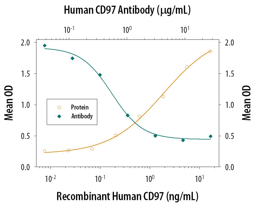 Recombinant Human CD97 (Catalog # 2529-CD), immobil­ized onto a microplate, supports the adhesion of human red blood cells in a dose-dependent manner (orange line). Adhesion elicited by Recombinant Human CD97 (4 µg/mL) is neutralized (green line) by increasing concentrations of Mouse Anti-Human CD97 Monoclonal Antibody (Catalog # MAB25291). The ND50 is typically 0.25-1.25 µg/mL.