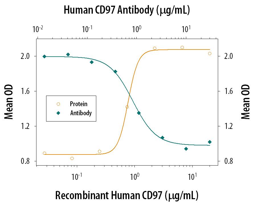 Recombinant Human CD97 (Catalog # 2529‑CD), immobil­ized onto a microplate, supports the adhesion of human red blood cells in a dose-dependent manner (orange line). Adhesion elicited by Recombinant Human CD97 (4 µg/mL) is neutralized (green line) by increasing concentrations of Mouse Anti-Human CD97 Monoclonal Antibody (Catalog # MAB2529). The ND50 is typically 0.5-2.5 µg/mL.