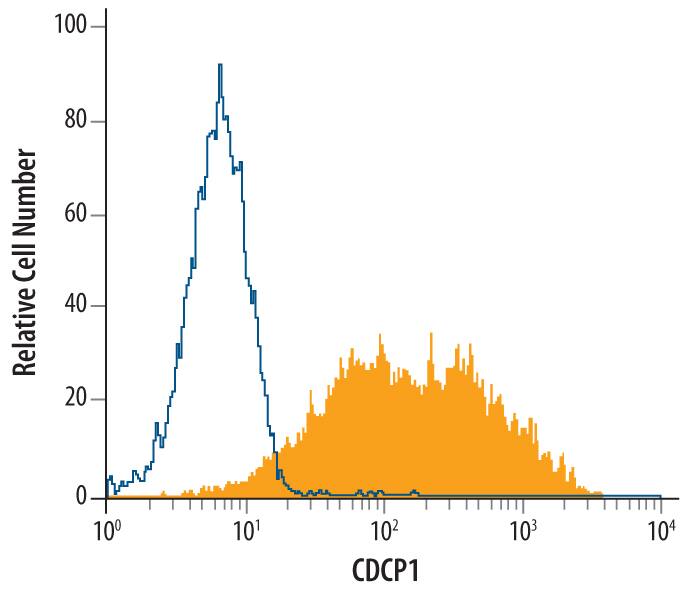 SW480 human colorectal adenocarcinoma cell line was stained with Mouse Anti-Human CDCP1 Monoclonal Antibody (Catalog # MAB26663, filled histogram) or isotype control antibody (Catalog # MAB002, open histogram), followed by Phycoerythrin-conjugated Anti-Mouse IgG Secondary Antibody (Catalog # F0102B).