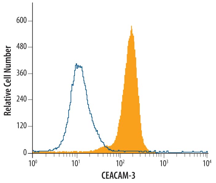 Human whole blood granulocytes were stained with Sheep Anti-Human CEACAM‑3/CD66d Biotinylated Antigen Affinity‑purified Polyclonal Antibody (Catalog # BAF4166, filled histogram) or control antibody (Catalog # BAF108, open histogram), followed by Streptavidin-Phycoerythrin (Catalog # F0040).