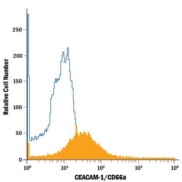 Human peripheral blood neutrophils were stained with Mouse Anti-Human CEACAM-1/CD66a APC-conjugated Monoclonal Antibody (Catalog # FAB2244A, filled histogram) or isotype control antibody (Catalog # IC0041A, open histogram). View our protocol for Staining Membrane-associated Proteins.