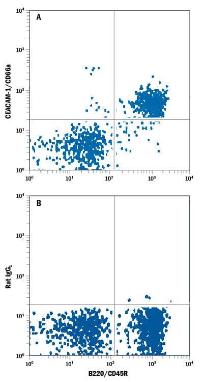 Mouse splenocytes were stained with Rat Anti-Mouse B220/CD45R APC-conjugated Monoclonal Antibody (Catalog # FAB1217A) and either (A) Rat Anti-Mouse CEACAM-1/CD66a Alexa Fluor® 488-conjugated Monoclonal Antibody (Catalog # FAB6480G) or (B) Rat IgG1Alexa Fluor 488 Isotype Control (Catalog # IC005G). View our protocol for Staining Membrane-associated Proteins.