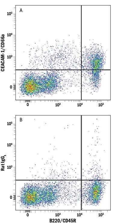 Mouse splenocytes were stained with Rat Anti-Mouse B220/CD45R PE-conjugated Monoclonal Antibody (Catalog # FAB1217P) and either (A) Rat Anti-Mouse CEACAM-1/CD66a Alexa Fluor® 700-conjugated Monoclonal Antibody (Catalog # FAB6480N) or (B) Rat IgG1Alexa Fluor 700 Isotype Control (Catalog # IC005N). View our protocol for Staining Membrane-associated Proteins.