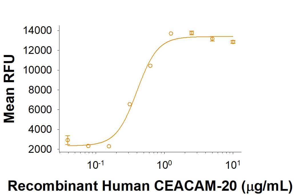 Immobilized Recombinant Human CEACAM-20 His-tag (Catalog # 10277-CM) enhances L cells mouse fibroblast cell line adhesion. The ED50 for this effect is 0.25‑1.5  μg/mL.