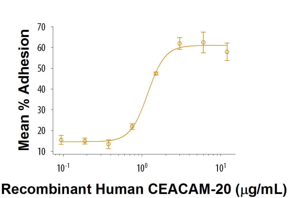 Immobilized Recombinant Human CEACAM-20 Fc Chimera (Catalog #9427-CM) enhances L Cells mouse fibroblasts adhesion. The ED50 for this effectis 0.5-2.5 μg/mL.