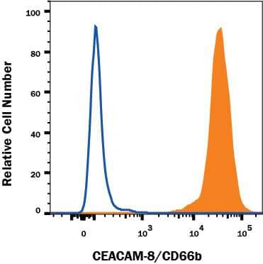 Human peripheral blood granulocytes were stained with Mouse Anti-Human CEACAM-8/CD66b Biotinylated Monoclonal Antibody (Catalog # FAB4246B, filled histogram) or isotype control antibody (Catalog # IC002B, open histogram), followed by Streptavidin-Phycoerythrin (Catalog # F0040). View our protocol for Staining Membrane-associated Proteins.