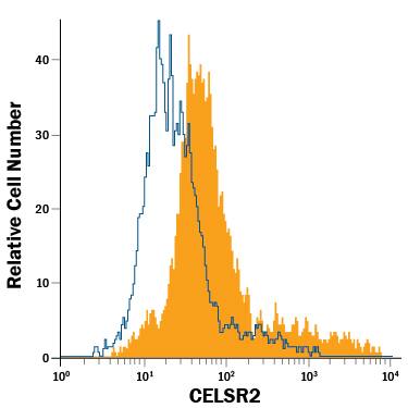 SH-SY5Y human neuroblastoma cell line was stained with Goat Anti-Human/Mouse CELSR2 Alexa Fluor® 488-conjugated Antigen Affinity-purified Polyclonal Antibody (Catalog # FAB6739G, filled histogram) or isotype control antibody (Catalog # IC108G, open histogram). View our protocol for Staining Membrane-associated Proteins.