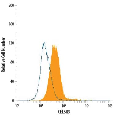 SH-SY5Y human neuroblastoma cell line was stained with Mouse Anti-Human CELSR3 PE-conjugated Monoclonal Antibody (Catalog # FAB7278P, filled histogram) or isotype control antibody (Catalog # IC0041P, open histogram). View our protocol for Staining Membrane-associated Proteins.