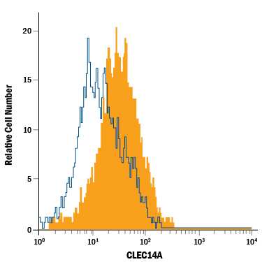 HUVEC human umbilical vein endothelial cells were stained with Mouse Anti-Human CLEC14A Alexa Fluor® 488-conjugated Monoclonal Antibody (Catalog # FAB7436G, filled histogram) or isotype control antibody (Catalog # IC0041G, open histogram). View our protocol for Staining Membrane-associated Proteins.