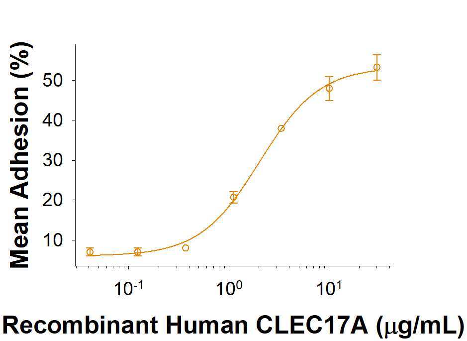Immobilized Recombinant Human CLEC17A Fc Chimera (Catalog #10147-CL) supports the adhesion of the MCF‑7 human breast cancer cells. TheED50 for this effect is 1.5-9  μg/mL.