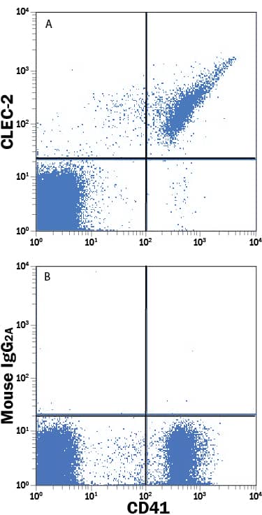 Human whole blood was stained with Mouse Anti-Human CD41 FITC-conjugated Monoclonal Antibody and either (A) Mouse Anti-Human CLEC-2 APC-conjugated Monoclonal Antibody (Catalog # FAB1718A) or (B) Mouse IgG2AAllophycocyanin Isotype Control (Catalog # IC0041A). View our protocol for Staining Membrane-associated Proteins.