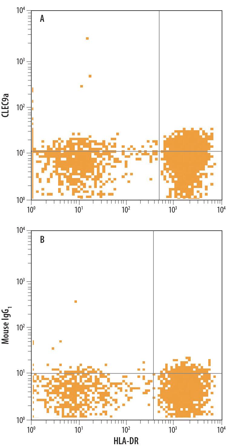 Human peripheral blood cells gated on CD3-CD141+cells were stained with Mouse Anti-Human HLA-DR PE-conjugated Monoclonal Antibody (Catalog # FAB4869P) and either (A) Mouse Anti-Human CLEC9a APC-conjugated Monoclonal Antibody (Catalog # FAB6049A) or (B) Mouse IgG1Allophycocyanin Isotype Control (Catalog # IC002A). View our protocol for Staining Membrane-associated Proteins.