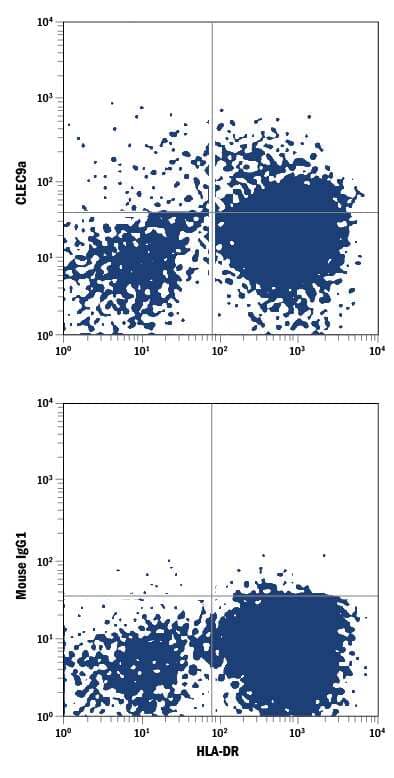 Human peripheral blood cells gated on CD3-CD141+cells were stained with Mouse Anti-Human HLA-DR PerCP-conjugated Monoclonal Antibody (Catalog # FAB4869C) and either (A) Mouse Anti-Human CLEC9a Alexa Fluor® 488-conjugated Monoclonal Antibody (Catalog # FAB6049G) or (B) Mouse IgG1Alexa Fluor 488 Isotype Control (IC002G). View our protocol for Staining Membrane-associated Proteins.