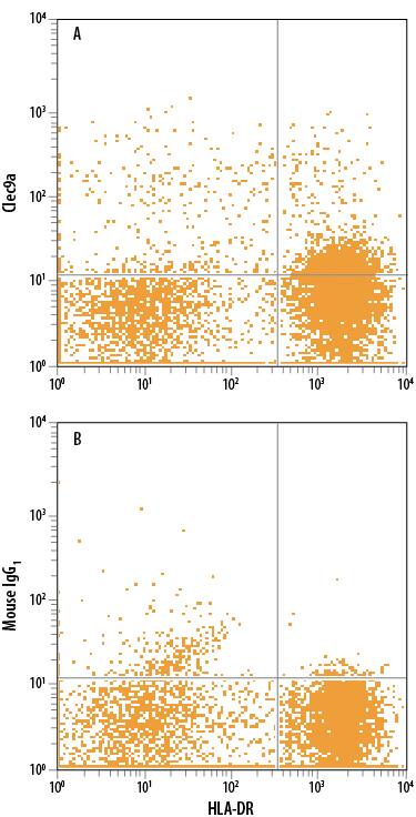 Human peripheral blood cells gated on CD3-CD141+cells were stained with Mouse Anti-Human HLA-DR PE-conjugated Monoclonal Antibody (Catalog # FAB4869P) and either (A) Mouse Anti-Human CLEC9a Alexa Fluor® 700-conjugated Monoclonal Antibody (Catalog # FAB6049N) or (B) Mouse IgG1Alexa Fluor 700 Isotype Control (Catalog # IC002N). View our protocol for Staining Membrane-associated Proteins.