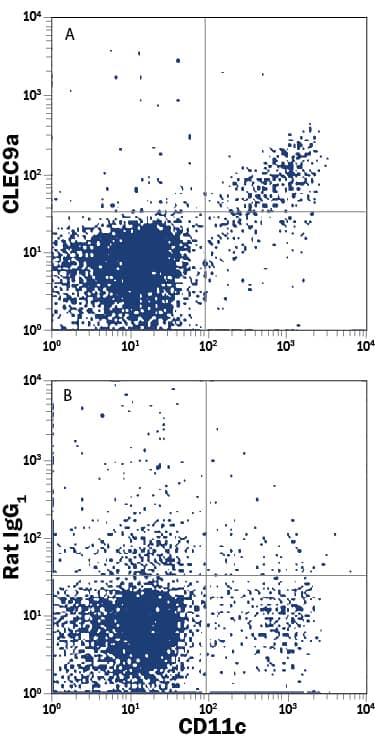 CD4-CD8+mouse splenocytes were stained with Hamster Anti-Mouse CD11c APC-conjugated Monoclonal Antibody (Catalog # FAB69501A) and either (A) Rat Anti-Mouse CLEC9a PE-conjugated Monoclonal Antibody (Catalog # FAB67761P) or (B) Rat IgG1Phycoerythrin Isotype Control (Catalog # IC005P). View our protocol for Staining Membrane-associated Proteins.