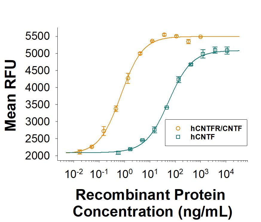 Recombinant Human CNTFR/CNTF Complex (Catalog # 10283-CC) stimulates proliferation of the TF-1 human erythroleukemic cell line. The ED50 for this effect is 0.25-1.5 ng/mL. The Recombinant Human CNTFR/CNTF Complex has up to 100-fold greater activity than Recombinant CNTF alone     (Catalog #   257-NT). 
