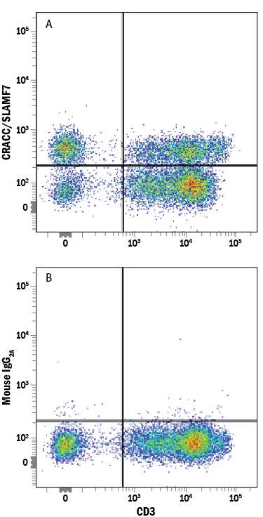 Human peripheral blood mononuclear cells (PBMCs) were stained with Mouse Anti-Human CD3e APC-conjugated Monoclonal Antibody (Catalog # FAB100A) and either (A) Mouse Anti-Human CRACC/SLAMF7 Alexa Fluor® 488-conjugated Monoclonal Antibody (Catalog # FAB1906G) or (B) Mouse IgG2AAlexa Fluor 488 Isotype Control (Catalog # IC003G). View our protocol for Staining Membrane-associated Proteins.