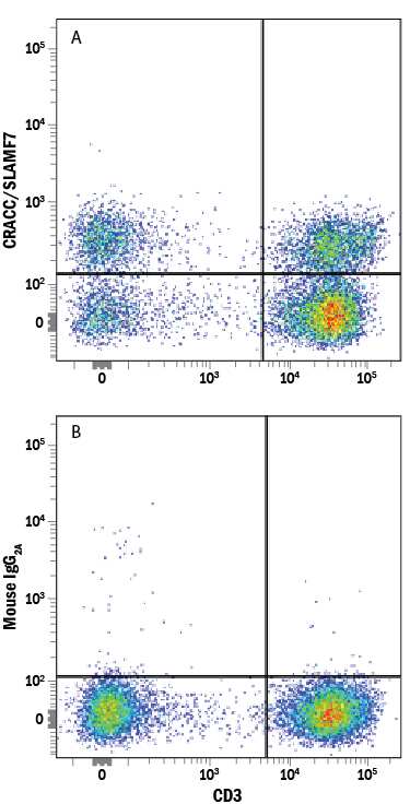 Human peripheral blood mononuclear cells (PBMCs) were stained with Mouse Anti-Human CD3e PE-conjugated Monoclonal Antibody (Catalog # FAB100P) and either (A) Mouse Anti-Human CRACC/SLAMF7 Alexa Fluor® 700-conjugated Monoclonal Antibody (Catalog # FAB1906N) or (B) Mouse IgG2AAlexa Fluor 700 Isotype Control (Catalog # IC003N). View our protocol for Staining Membrane-associated Proteins.