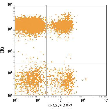 Human peripheral blood lymphocytes were stained with Mouse Anti-Human CRACC/SLAMF7 PE-conjugated Monoclonal Antibody (Catalog # FAB1906P) and Mouse Anti-Human CD3e APC-conjugated Monoclonal Antibody (Catalog # FAB100A). Quadrant markers were set based on control antibody staining (Catalog # IC003P). View our protocol for Staining Membrane-associated Proteins.