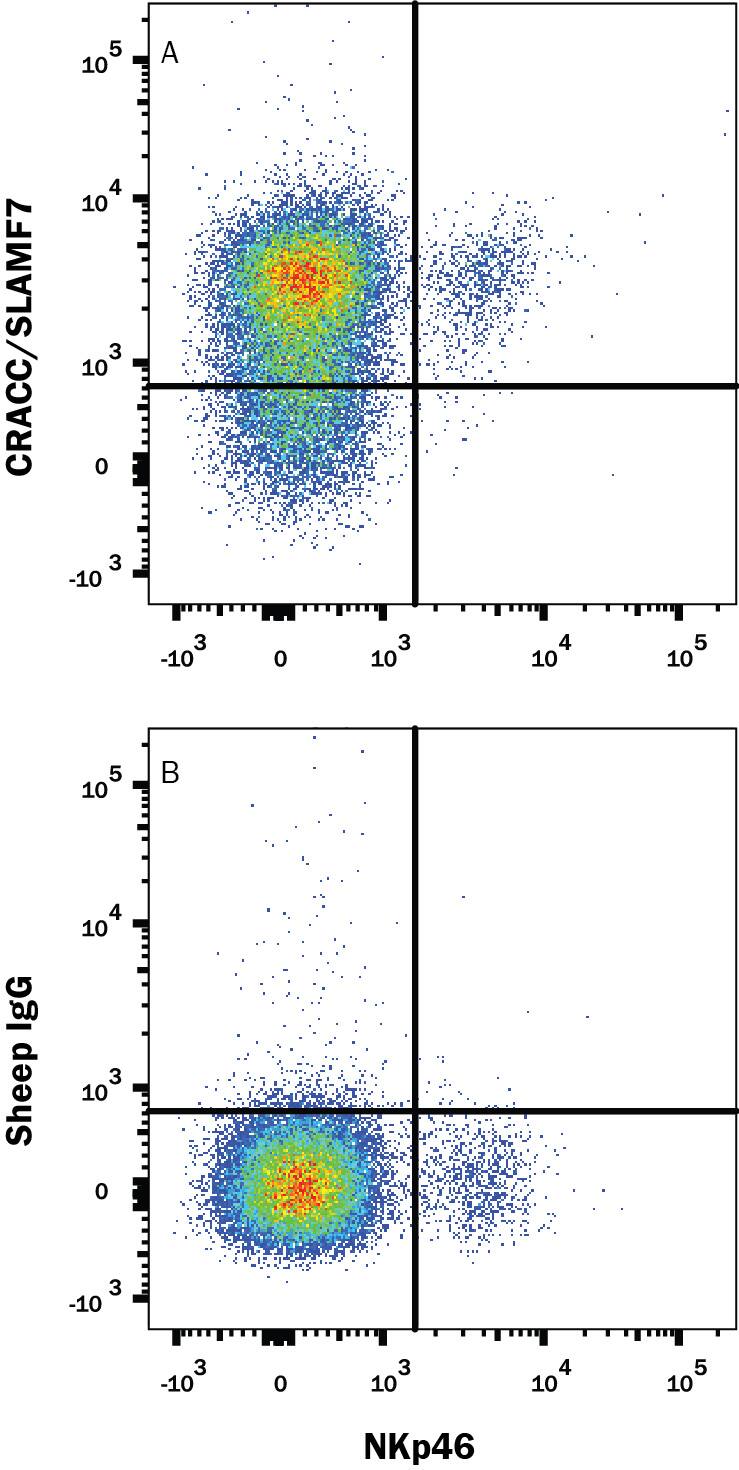 Mouse splenocytes were stained with Rat Anti-Mouse NKp46/NCR1 PE-conjugated Monoclonal Antibody (Catalog # FAB22252P) and either (A) Sheep Anti-Mouse CRACC/SLAMF7 APC-conjugated Antigen Affinity-purified Polyclonal Antibody (Catalog # FAB4628A) or (B) Normal Sheep IgG Allophycocyanin Control (Catalog # IC016A). View our protocol for Staining Membrane-associated Proteins.