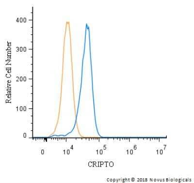 Flow Cytometry: CRIPTO Antibody [NB100-1597] - An intracellular stain was performed on HeLa with CRIPTO Antibody NB100-1597 and a matched isotype control. Cells were fixed with 4% PFA and then permeablized with 0.1% saponin. Cells were incubated in an antibody dilution of 1 ug/mL for 30 minutes at room temperature, followed by Rabbit IgG (H+L) Cross-Adsorbed Secondary Antibody, Dylight 550 (SA5-10033, Thermo Fisher).