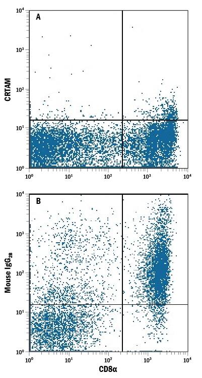 Human peripheral blood mononuclear cells (PBMCs) either (A) untreated or (B) treated with PMA and Calcium Ionomycin for 24 hours were stained with Mouse Anti-Human CRTAM APC-conjugated Monoclonal Antibody (Catalog # FAB16951A) and Mouse Anti-Human CD8a PE-conjugated Monoclonal Antibody (Catalog # FAB1509P). Quadrant markers were set based on control antibody staining (Catalog # IC0041A). View our protocol for Staining Membrane-associated Proteins.