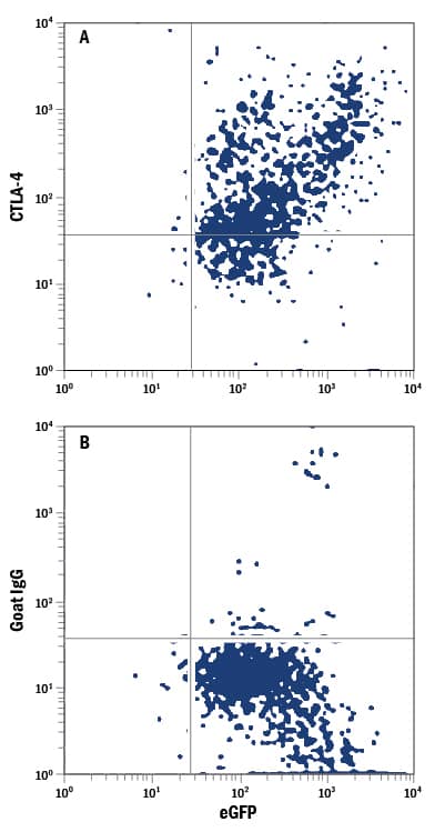 NS0 mouse myeloma cell line transfected with human CTLA-4 and eGFP was stained with (A) Goat Anti-Human CTLA-4 PE-conjugated Antigen Affinity-purified Polyclonal Antibody (Catalog # FAB386P) and (B) Normal Goat IgG Phycoerythrin Control (Catalog # IC108P). View our protocol for Staining Membrane-associated Proteins.