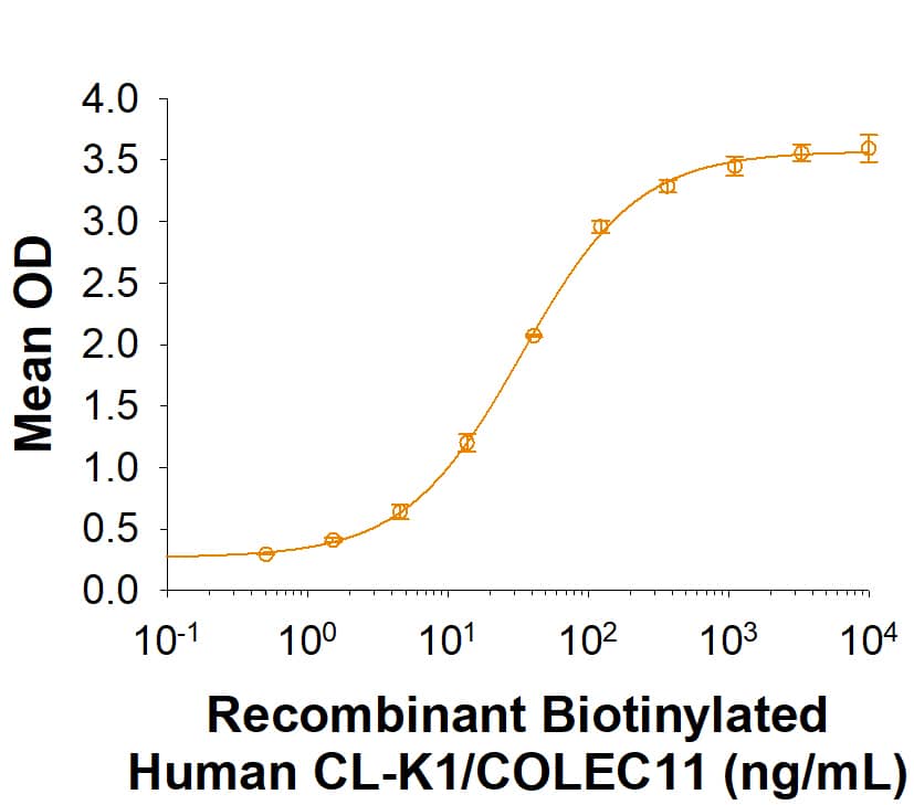     When  Recombinant Mouse CTRP9/C1qTNF9 (Catalog # 2132-TN) is coated at 0.5 μg/mL,  100 μL/well,    Biotinylated Recombinant  Human CL-K1/COLEC11 binds with an ED50 of 15-90 ng/mL. 