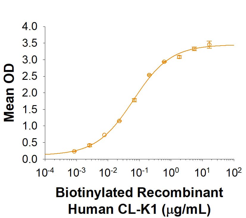     When  Recombinant Human CTRP9/C1qTNF9 (Catalog # 6537-TN) is coated at 0.5 μg/mL,  100 μL/well,    Biotinylated Recombinant  Human CL-K1/COLEC11 binds with an ED50 of 0.035-0.21  μg/mL. 
