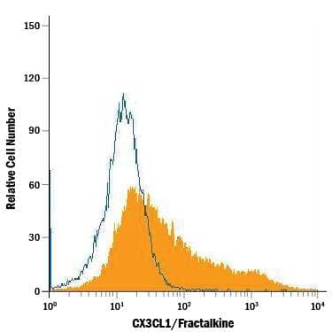 bEnd.3 mouse endothelioma cell line was stained with Rat Anti-Mouse CX3CL1/Fractalkine APC-conjugated Monoclonal Antibody (Catalog # FAB571A, filled histogram) or isotype control antibody (IC006A, open histogram). View our protocol for Staining Membrane-associated Proteins.