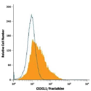 bEnd.3 mouse endothelioma cell line was stained with Rat Anti-Mouse CX3CL1/Fractalkine Alexa Fluor® 488-conjugated Monoclonal Antibody (Catalog # FAB571G, filled histogram) or isotype control antibody (Catalog # IC006G, open histogram). View our protocol for Staining Membrane-associated Proteins.