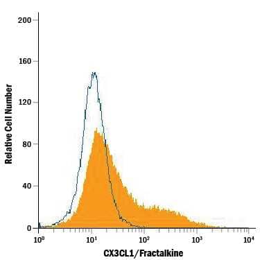 bEnd.3 mouse endothelioma cell line was stained with Rat Anti-Mouse CX3CL1/Fractalkine PE-conjugated Monoclonal Antibody (Catalog # FAB571P, filled histogram) or isotype control antibody (Catalog # IC006P, open histogram). View our protocol for Staining Membrane-associated Proteins.