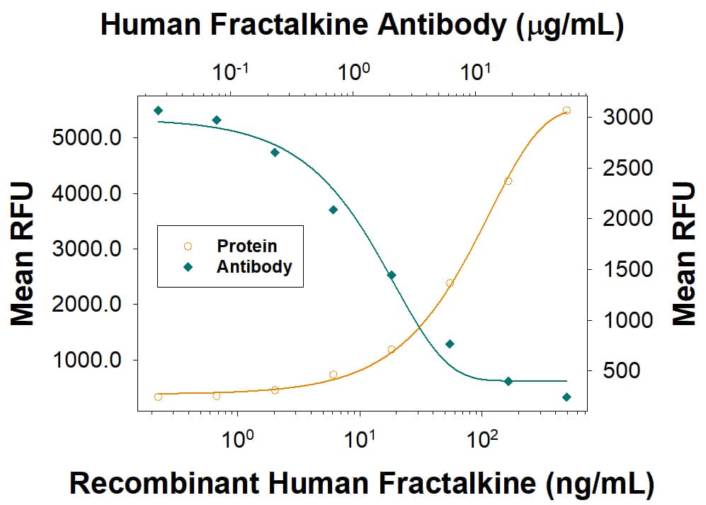 Recombinant Human CX3CL1/Fractalkine (Catalog # 365-FR) chemoattracts the BaF3 mouse pro-B cell line transfected with mouse CX3CR1 in a dose-dependent manner (orange line). The amount of cells that migrated through to the lower chemotaxis chamber was measured by Resazurin (Catalog # AR002). Chemotaxis elicited by Recombinant Human CX3CL1/Fractalkine (100 ng/mL) is neutralized (green line) by increasing concentrations of Mouse Anti-Human CX3CL1/Fractalkine Chemokine Domain Monoclonal Antibody (Catalog # MAB3652). The ND50 is typically 1-5 µg/mL.