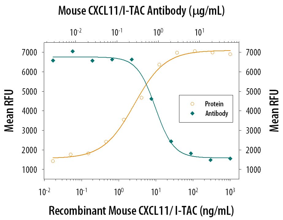 Recombinant Mouse CXCL11/I‑TAC (Catalog # 572-MC) chemo­attracts the BaF3 mouse pro‑B cell line transfected with human CXCR3 in a dose-dependent manner (orange line). The amount of cells that migrated through to the lower chemotaxis chamber was measured by Resazurin (Catalog # AR002). Chemotaxis elicited by Recombinant Mouse CXCL11/I‑TAC (50 ng/mL) is neutralized (green line) by increasing concentrations of Rat Anti-Mouse CXCL11/I-TAC Monoclonal Antibody (Catalog # MAB572). The ND50 is typically 0.4‑2.0 µg/mL.