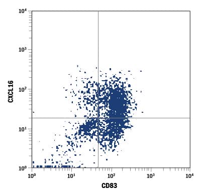 Human monocyte-derived dendritic cells were stained with Rat Anti-Human CXCL16 PE-conjugated Monoclonal Antibody (Catalog # FAB976P) and Mouse Anti-Human CD83 Fluorescein-conjugated Monoclonal Antibody (Catalog # FAB1774F). Quadrant markers were set based on control antibody staining (Catalog # IC006P). View our protocol for Staining Membrane-associated Proteins.