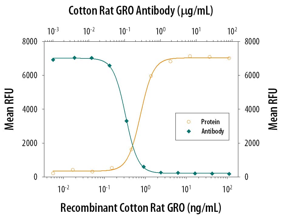 Recombinant Cotton Rat CXCL1/2/3/GRO (Catalog # 1114-GR) chemoattracts the BaF3 mouse pro‑B cell line transfected with human CXCR2 in a dose-dependent manner (orange line). The amount of cells that migrated through to the lower chemotaxis chamber was measured by Resazurin (Catalog # AR002). Chemotaxis elicited by Recombinant Cotton Rat CXCL1/2/3/GRO (5 ng/mL) is neutralized (green line) by increasing concentrations of Cotton Rat CXCL1/2/3/GRO Monoclonal Antibody (Catalog # MAB1114). The ND50 is typically 0.08-0.4 µg/mL.