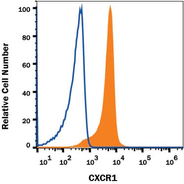 Human  peripheral blood granulocytes were stained with Mouse Anti-Human CXCR1/IL‑8 RA Monoclonal Antibody (Catalog # MAB3302,  filled histogram) or isotype control antibody (Catalog # MAB003,  open histogram), followed by Phycoerythrin-conjugated Anti-Mouse IgG  Secondary Antibody (Catalog # F0102B). View our protocol for Staining Membrane-associated Proteins. 